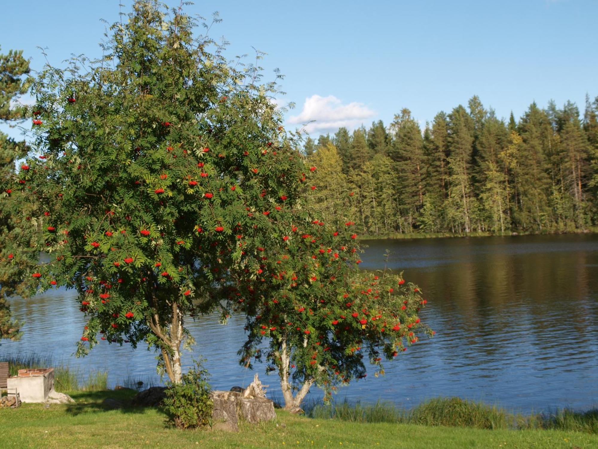 Loma-Rantala Cottages Tahkovuori Exterior foto